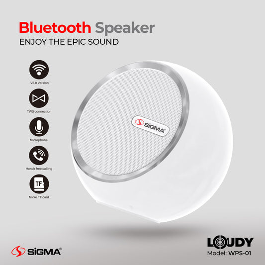 Platinum's Loudy Portable Speaker WPS-01 (Single)